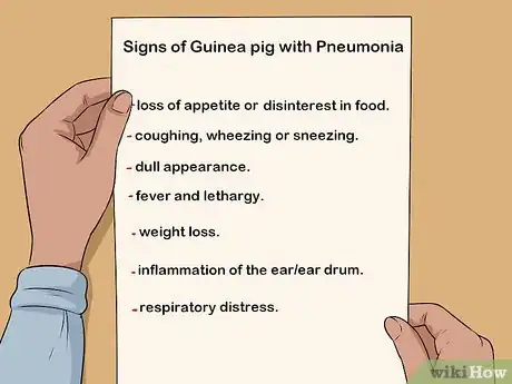 Image titled Care for a Guinea Pig with Pneumonia Step 1