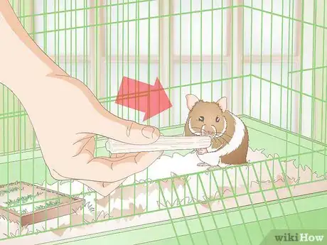 Image titled Make Hamster Chew Sticks Step 11