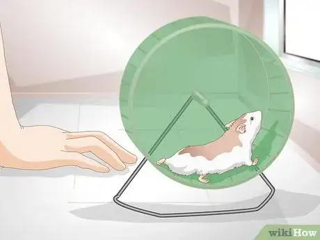 Image titled Help Your Fat Rat Lose Weight Step 9