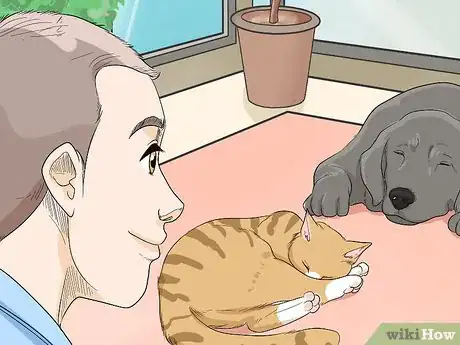 Image titled Introduce a Cat to a Dog Step 9