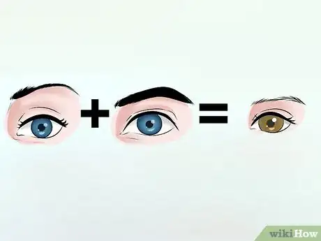 Image titled Predict Your Baby's Eye Color Step 7