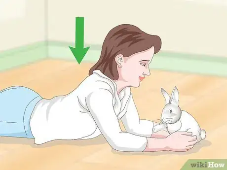 Image titled Love Your Rabbit Step 5