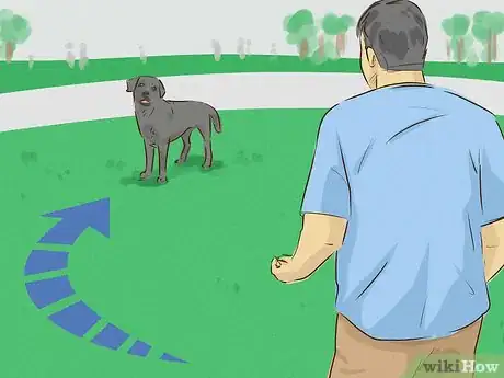 Image titled Look Friendly to Dogs Step 1