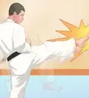 Perform a Taekwondo Front Kick