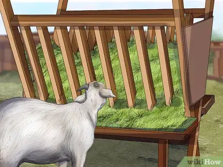Image titled Raise Nigerian Dwarf Goats Step 6