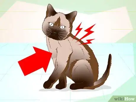 Image titled Help a Cat with a Broken Shoulder Step 2