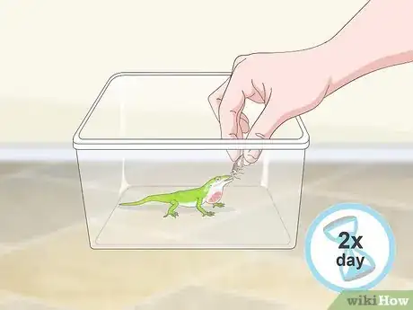 Image titled Set up a Green Anole Tank Step 10