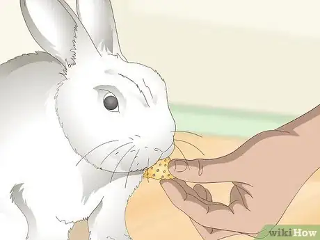 Image titled Love Your Rabbit Step 4