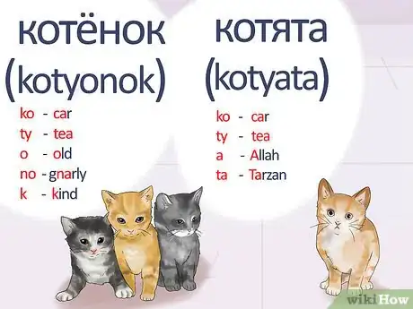 Image titled Say Cat in Russian Step 5