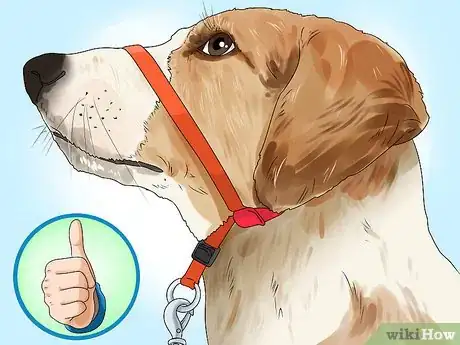 Image titled Put a Gentle Leader on a Dog Step 11