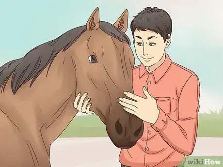 Image titled Talk to Your Horse Step 5