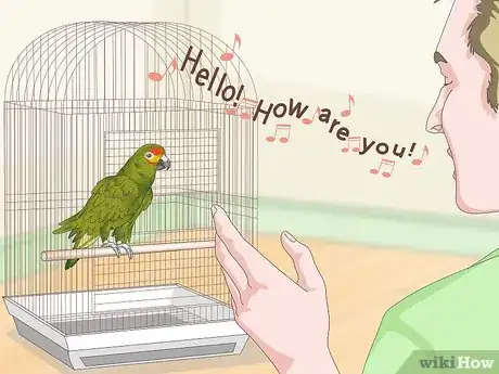 Image titled Teach Parrots to Talk Step 14
