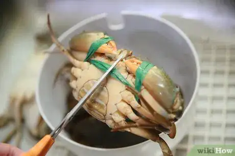 Image titled Cook Mud Crab Step 5