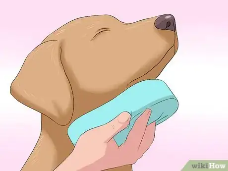 Image titled Remove Skunk Odor from Dogs Step 11