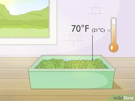 Image titled Grow Duckweed for Food Step 5