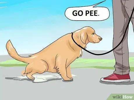 Image titled Train a Dog to Pee Outside Step 3