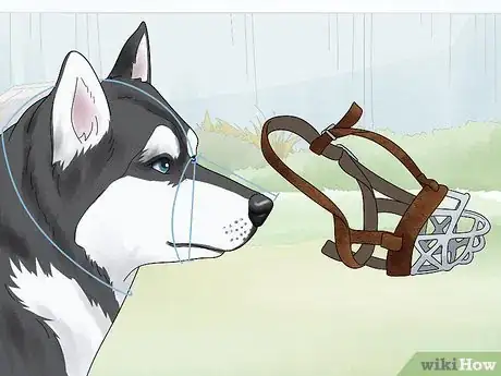 Image titled Use a Muzzle to Correct Nipping in Dogs Step 1