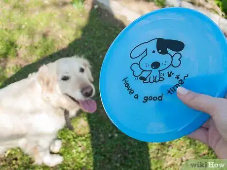 Image titled Teach a Dog How to Catch a Frisbee Step 1