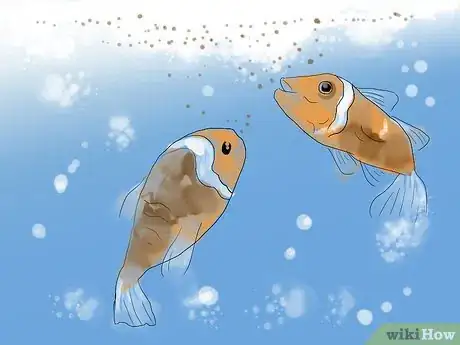 Image titled Breed Clownfish Step 15