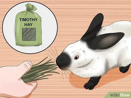 Image titled Care for Californian Rabbits Step 1