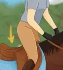 Prepare to Ride a Horse