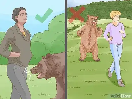Image titled Keep Bears Away Step 22