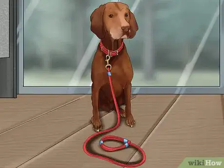 Image titled Improvise a Dog Lead Step 1