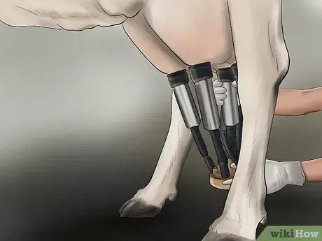 Image titled Milk a Cow With a Milking Machine Step 10