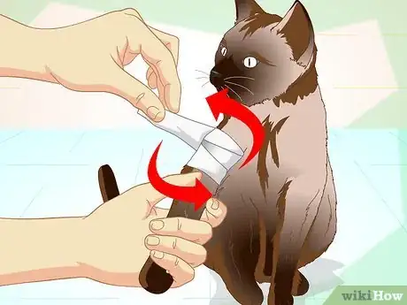 Image titled Help a Cat with a Broken Shoulder Step 6
