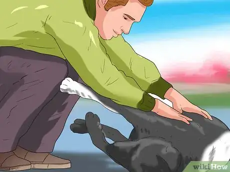 Image titled Check Your Dog's Weight Step 12