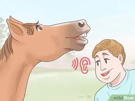 Image titled Tell if a Horse Is Happy Step 9