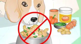 Add Fiber to a Dog's Diet