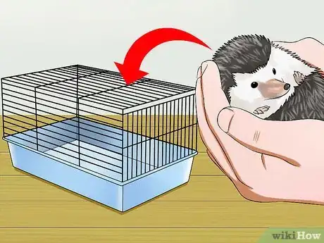 Image titled Clean Hedgehog Quills Step 12