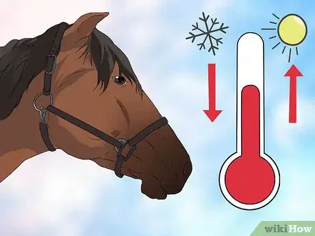 Image titled Take a Horse's Temperature Step 22
