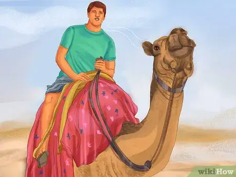 Image titled Ride a Camel Step 10