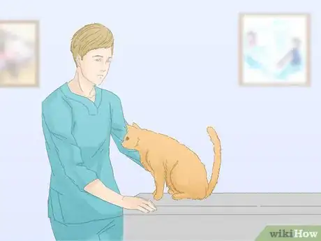 Image titled Prevent Cats from Urinating on Carpet Step 1