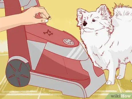 Image titled Teach Your Pet Not to be Scared of the Vacuum Cleaner Step 5.jpeg