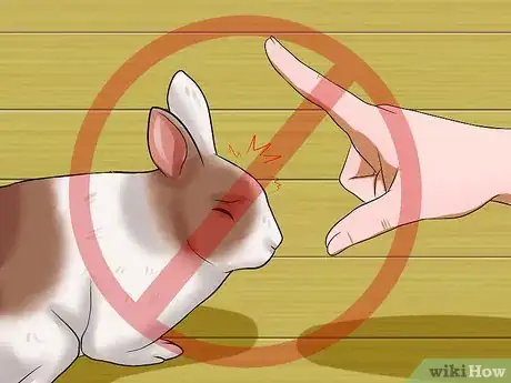 Image titled Teach Your Rabbit to Jump over Something Step 18