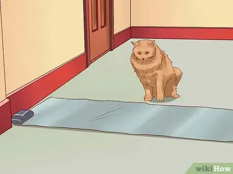 Image titled Discipline Cats Step 14