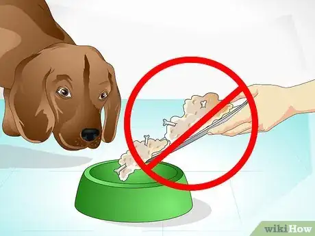 Image titled Care for a Sick Dog Step 15