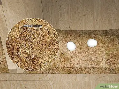 Image titled Keep Chickens from Eating Their Own Eggs Step 3
