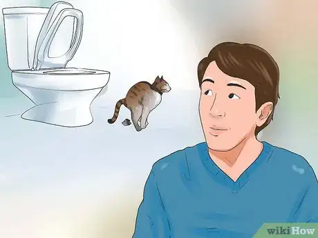 Image titled Toilet Train Your Cat Step 11