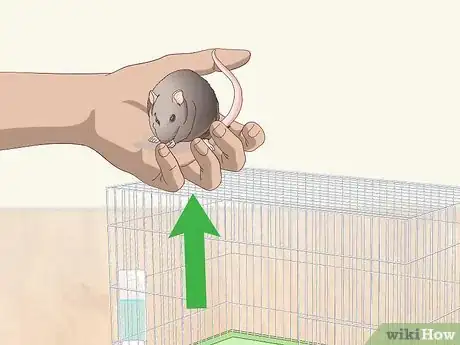 Image titled Pick Up a Pet Mouse Step 12