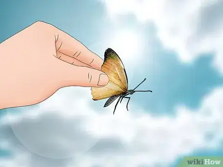 Image titled Hold a Butterfly Step 8