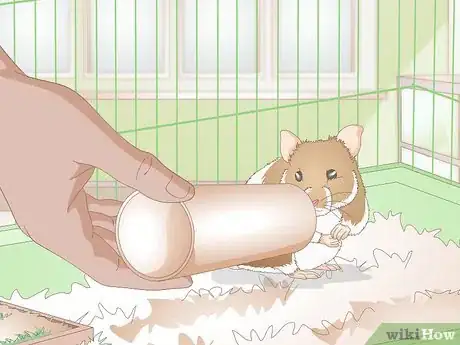 Image titled Make Hamster Chew Sticks Step 15