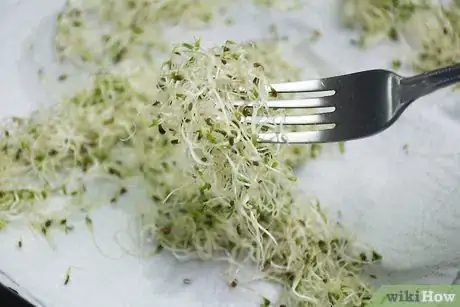 Image titled Eat Alfalfa Sprouts Step 8