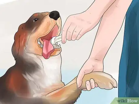 Image titled Teach Your Dog to Shake Hands Step 8