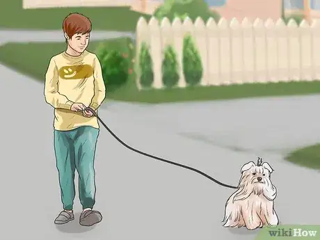 Image titled Start Walking Your Puppy Step 11