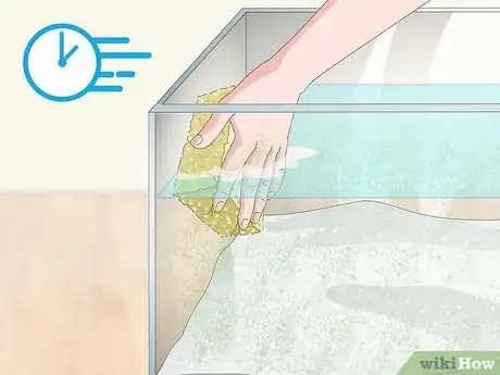 Image titled Remove Fish from an Aquarium to Clean Step 7