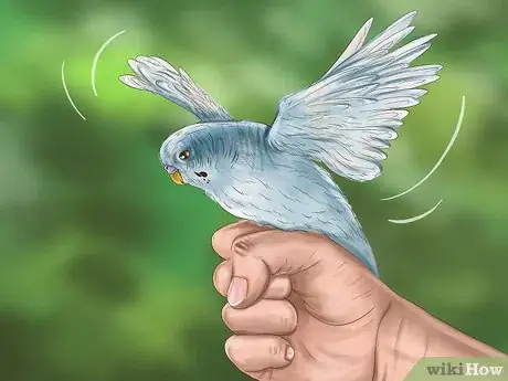 Image titled Play With Your Parakeet Step 5
